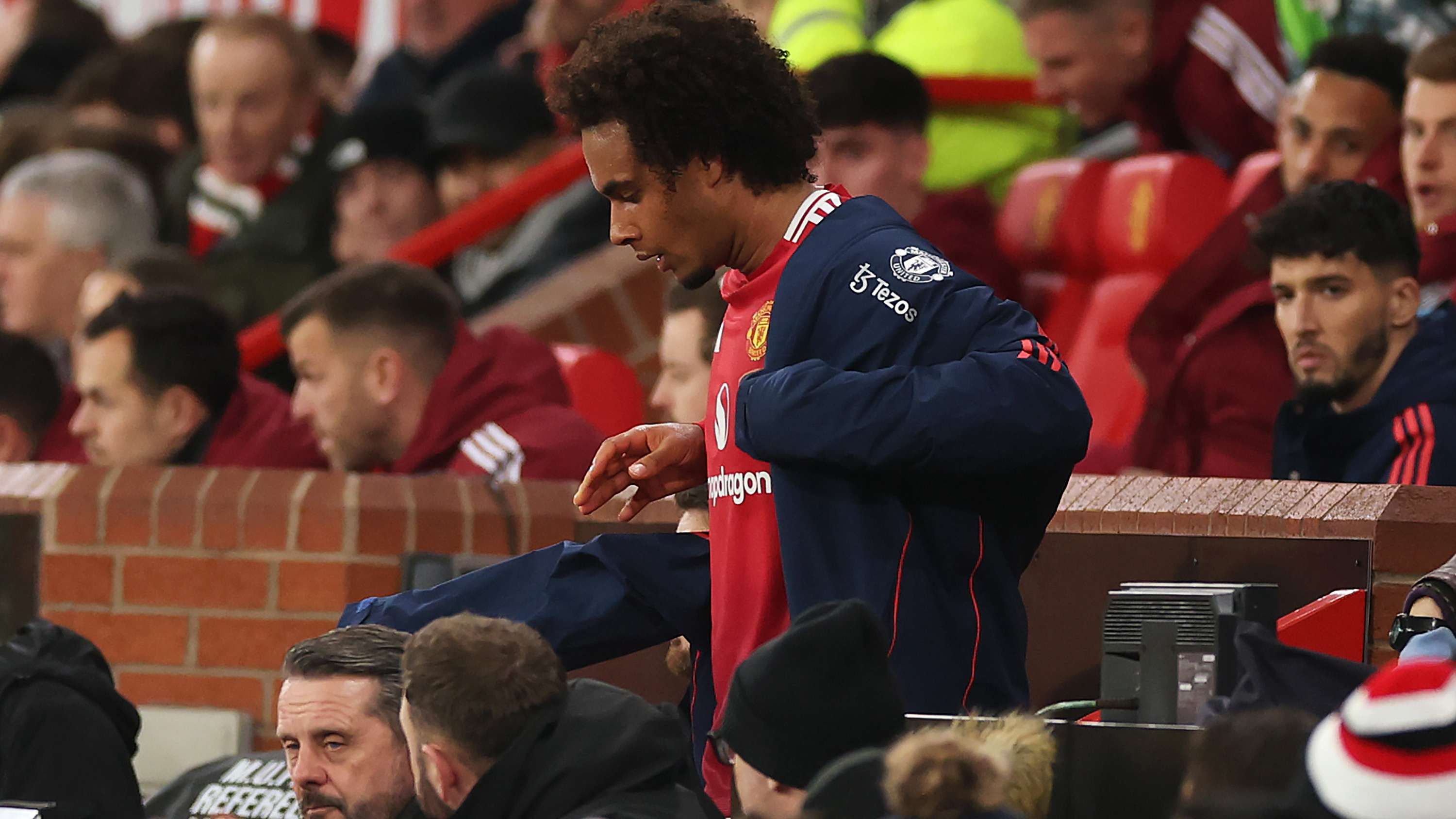 仅展示了中 仅展示了中